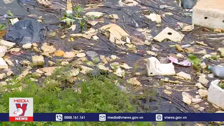 Đảm bảo an toàn dịch bệnh sau nước rút