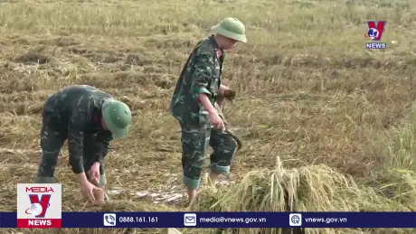 Lực lượng vũ trang Thanh Hóa giúp dân khắc phục hậu quả mưa lũ