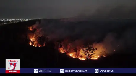 Cháy rừng quy mô lớn ở ngoại ô thủ đô Brazil