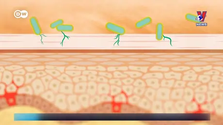 Tạp chí toàn cầu ngày 16/9/2024