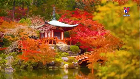 Việt Nam với bạn bè quốc tế: Thúc đẩy quan hệ Đối tác Chiến lược toàn diện Việt Nam - Nhật Bản