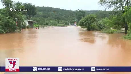 Mưa lớn bất thường gây thiệt hại tại Bình Phước