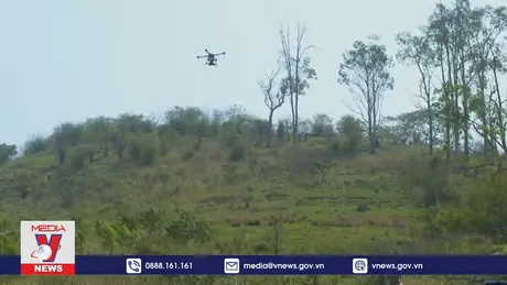 Dùng drone trồng cây gây rừng