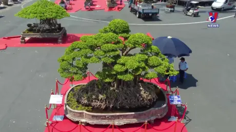 Điểm hẹn Hà Nội số 37/2024