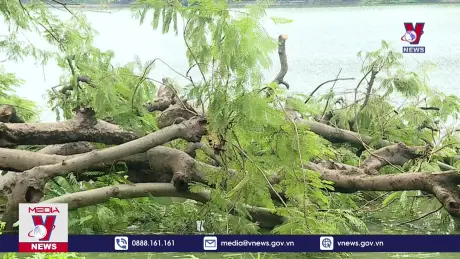 Những trái tim hướng về Việt Nam