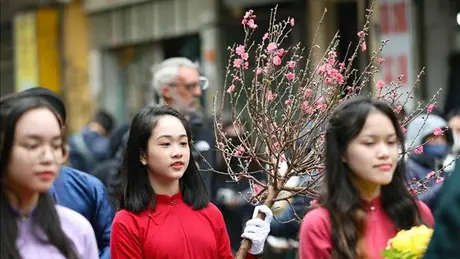 Đề xuất công chức, người lao động được nghỉ Tết Nguyên đán 9 ngày liên tục