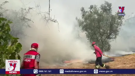 Cháy rừng nghiêm trọng tại Bồ Đào Nha