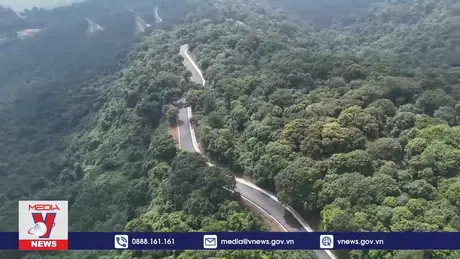 Khai thác giá trị đa dụng từ môi trường rừng