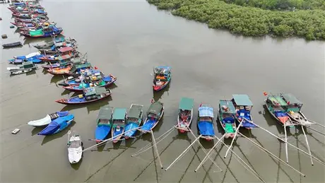 Lực lượng Biên phòng Hà Tĩnh hỗ trợ đưa tàu thuyền vào nơi tránh trú an toàn