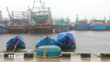 Quảng Bình cấm biển từ 0 giờ ngày 19/9 cho đến khi an toàn