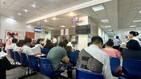 Dòng tiền dịch chuyển mạnh sang đất đấu giá