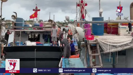 Thừa Thiên – Huế hoàn thành neo đậu tàu thuyền tránh bão