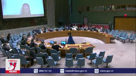 Phần Lan thúc đẩy mở rộng HĐBA và xem xét lại quyền phủ quyết