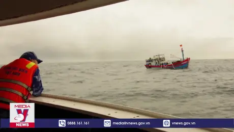 Cứu tàu cá cùng 12 ngư dân trên vùng biển Quảng Nam