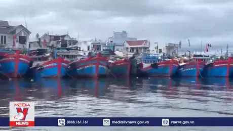 Quảng Ngãi chủ động ứng phó với áp thấp nhiệt đới