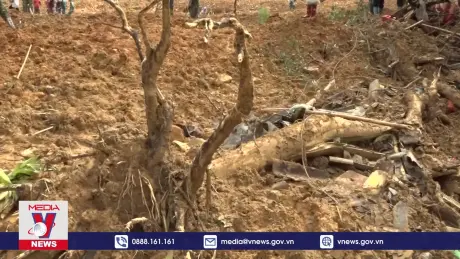 Tạm dừng thu lãi với người vay vốn chính sách bị ảnh hưởng bởi bão số 3