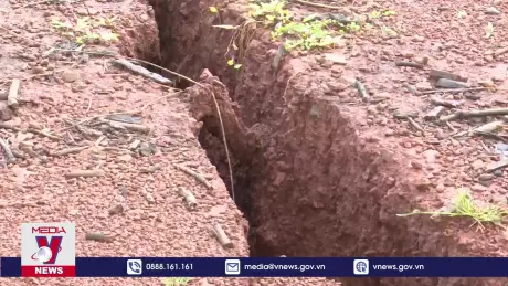 Đắk Nông sẽ xử lý nghiêm việc san lấp gây lún nứt đường