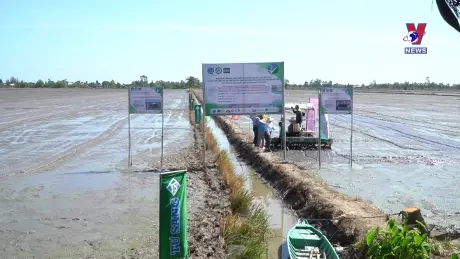 Khoa học và Công nghệ ngày 19/9/2024