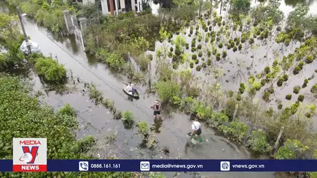 Làng cây cảnh Bách Thuận ô nhiễm vì ngập lâu