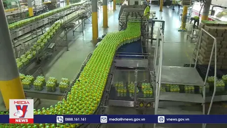 Đánh giá kỹ tác động khi áp thuế tiêu thụ đặc biết với đồ uống có đường