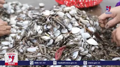 Bản tin thời sự 21h ngày 20/9/2024