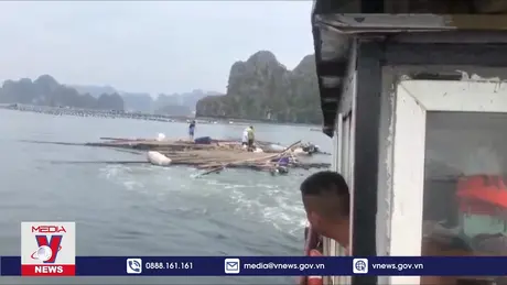 Quảng Ninh làm sạch vịnh Bái Tử Long sau bão số 3.