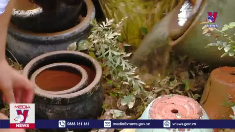 Bản tin Thời sự 08h ngày 20/9/2024