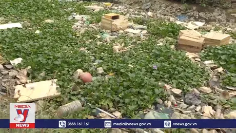 Cấp bách ngăn nguồn rác thải nhựa ra sông, kênh, rạch 