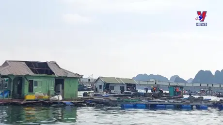 Nhật trình kinh tế ngày 20/9/2024