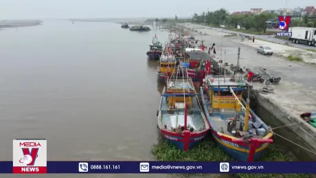 Ngư dân Thái Bình vươn khơi sau bão