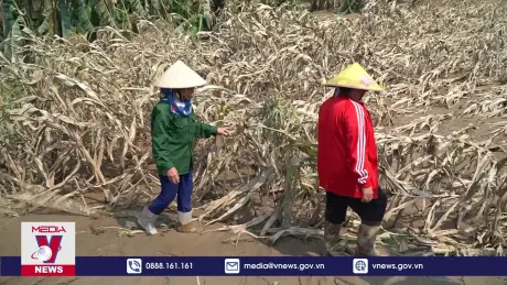Yên Bái cơ cấu lại sản xuất nông nghiệp sau bão lũ