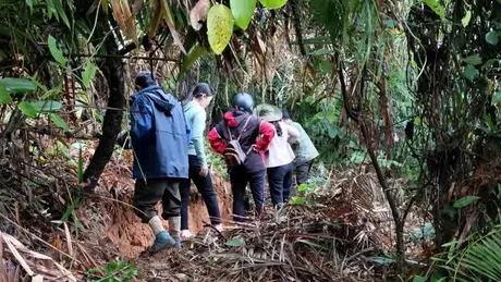 Xuất hiện vết nứt sâu trên đồi, Quảng Nam sơ tán khẩn cấp các hộ dân