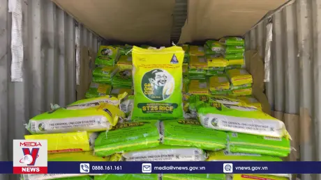 Mang gạo ngon nhất thế giới của Việt Nam vào thị trường Canada