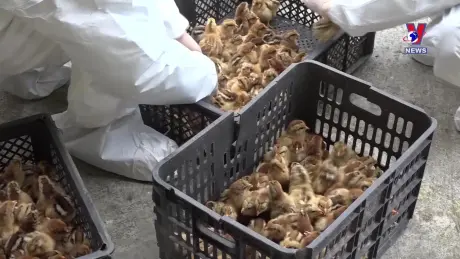 Đường dây nóng 389 ngày 21/9/2024