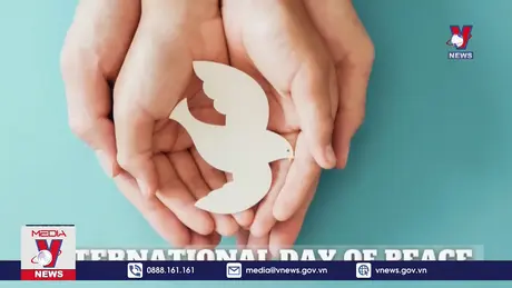 Vun đắp văn hóa hòa bình