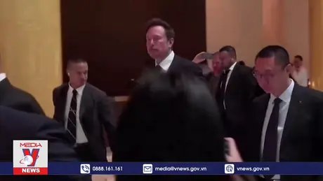 Nền tảng X sốt sắng tìm cách gỡ án phạt cấm hoạt động ở Brazil