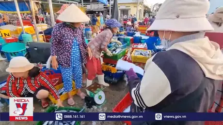 Ninh Thuận thực hiện mạnh mẽ các giải pháp chống khai thác IUU