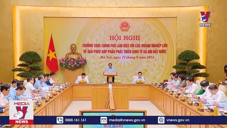 Các tập đoàn, doanh nghiệp tư nhân tham gia phát triển đất nước