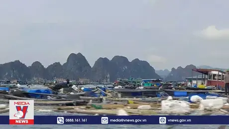 Khẩn trương tái thiết ngành chăn nuôi, thủy sản sau bão