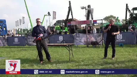 Giải Vô địch leo cột thế giới ở Anh