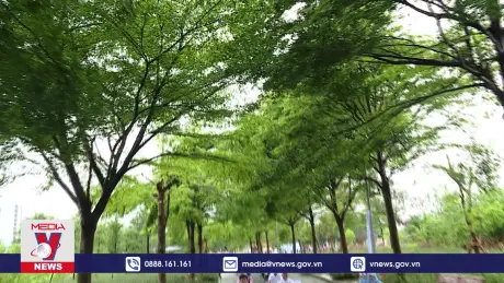 Ra quân hưởng ứng Chiến dịch Làm cho thế giới sạch hơn