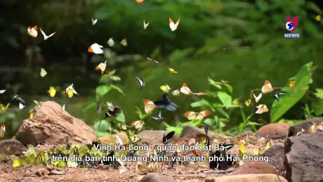 Không gian Pháp ngữ: Lai Châu, điểm đến hấp dẫn miền Tây Bắc