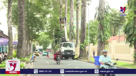 Bản tin thời sự 8h ngày 22/9/2024