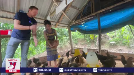 Tạo sinh kế bền vững cho hộ nghèo miền núi Quảng Ngãi