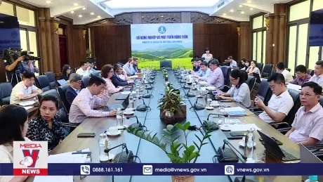 Hơn 33 triệu USD hỗ trợ đề án 1 triệu ha lúa chất lượng cao