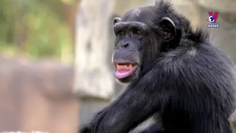 Tạp chí toàn cầu ngày 23/9/2024