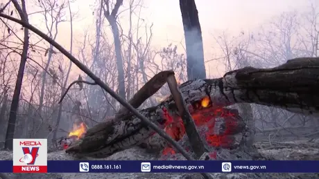 Hạn hán khiến cháy rừng lan rộng ở Mỹ Latinh