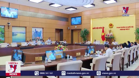 Bản tin thời sự 17h ngày 24/9/2024