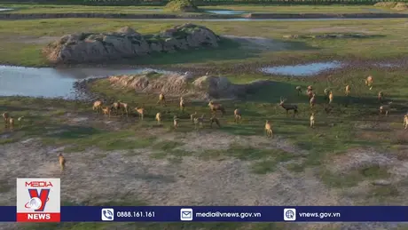 Công viên nai sừng tấm hoang dã lớn nhất thế giới