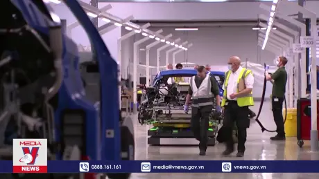 OECD nâng dự báo tăng trưởng kinh tế toàn cầu